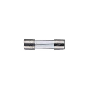 5.2x20mm Glass Fuse (Time-Lag)